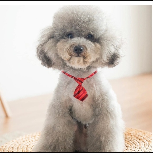 Adjusting Dog Neck Tie Collar - Picture 6 of 7